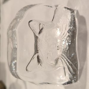 Glass Etching of a cat